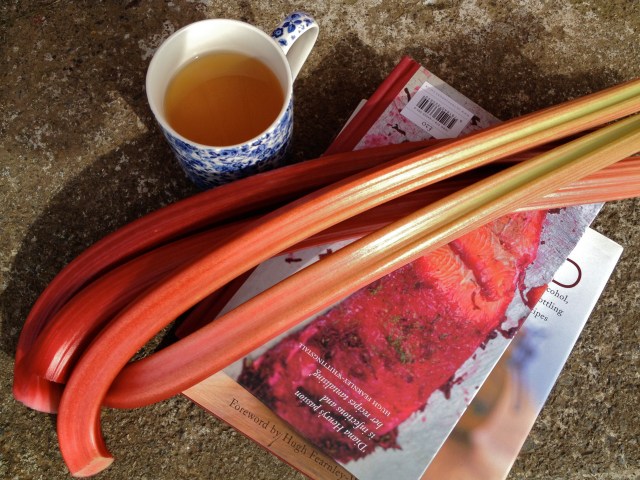 Researching recipes at the back step and soaking up some sunrays.