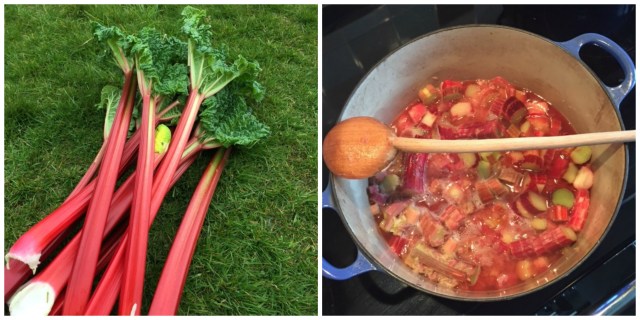 Rhubarb Collage 2
